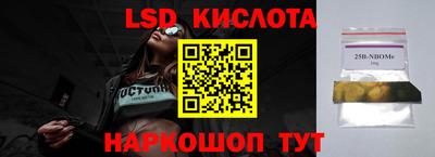 apvp Камышлов