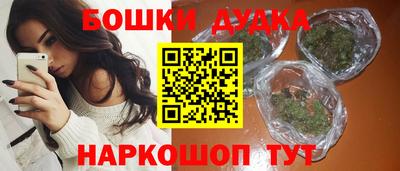 apvp Камышлов